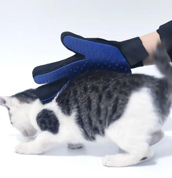 PetPal Cleaning Mitts